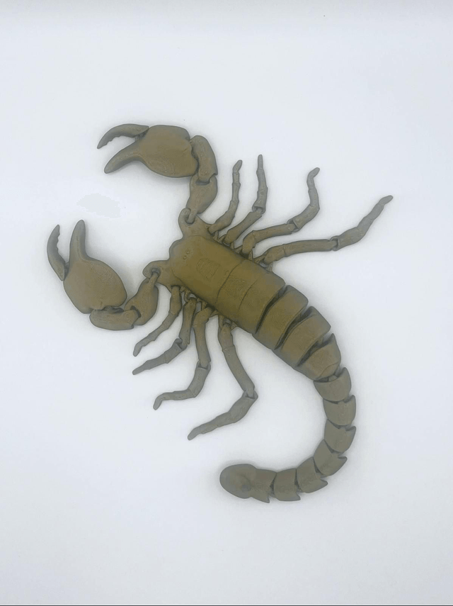 632. Scorpion 3D articulated print