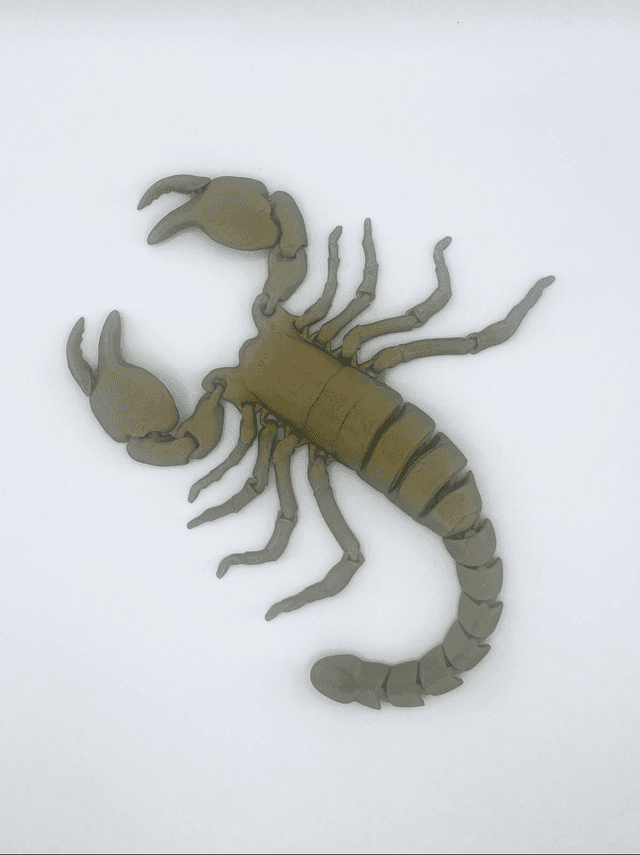 632. Scorpion 3D articulated print