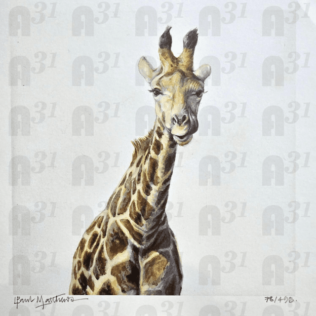 573 giraffe